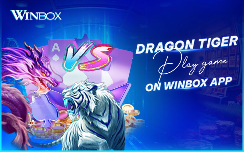 Access Dragon Tiger on phone with easy and flexible play Access Dragon Tiger on phone with easy and flexible play