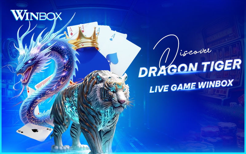 Understand Dragon Tiger basics for simple and fun play Understand Dragon Tiger basics for simple and fun play