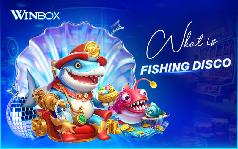Fishing Disco explained Winbox