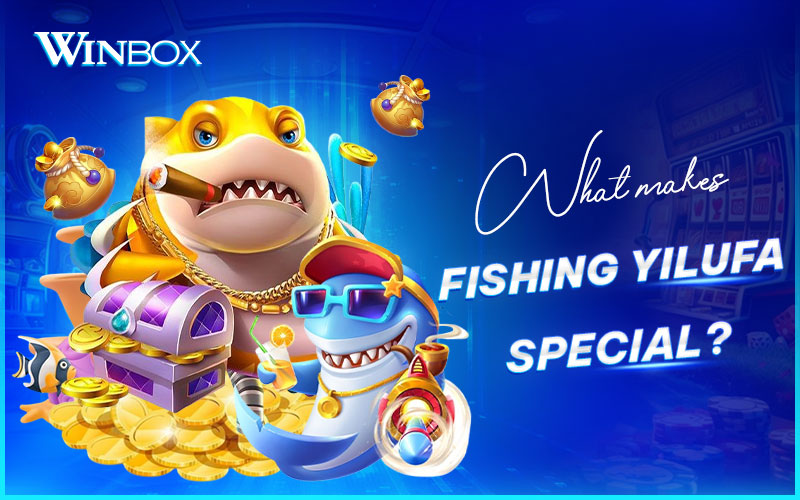 Learn what makes Fishing YiLuFa unique