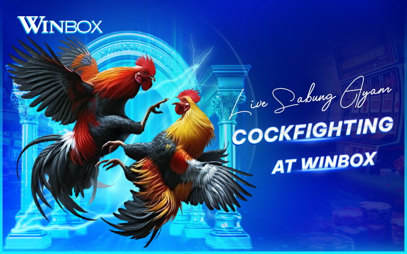 Sabung ayam SV388 on Winbox Malaysia Sabung ayam SV388 on Winbox Malaysia