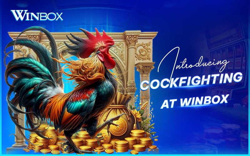 Cockfighting on Winbox Malaysia Cockfighting on Winbox Malaysia