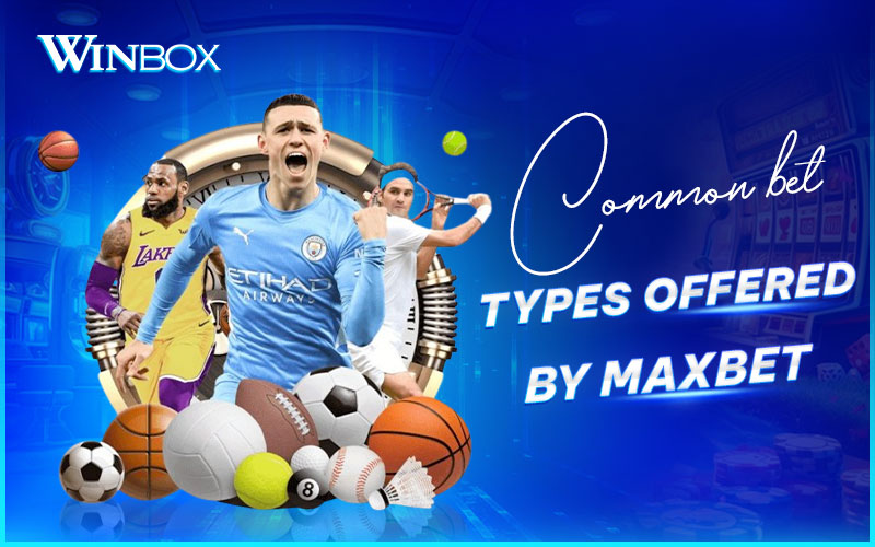 Maxbet offers multiple betting options to suit both beginners and experienced players