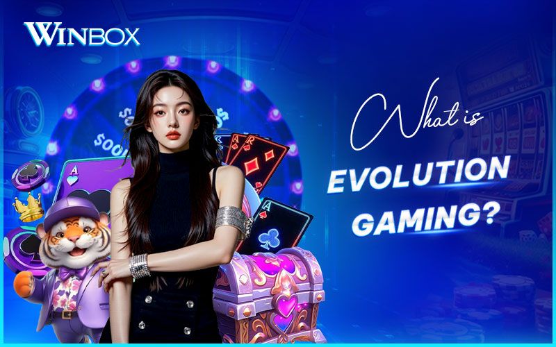 Explore Evolution Gaming at Winbox