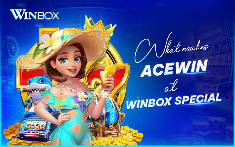 Key features of AceWin on Winbox